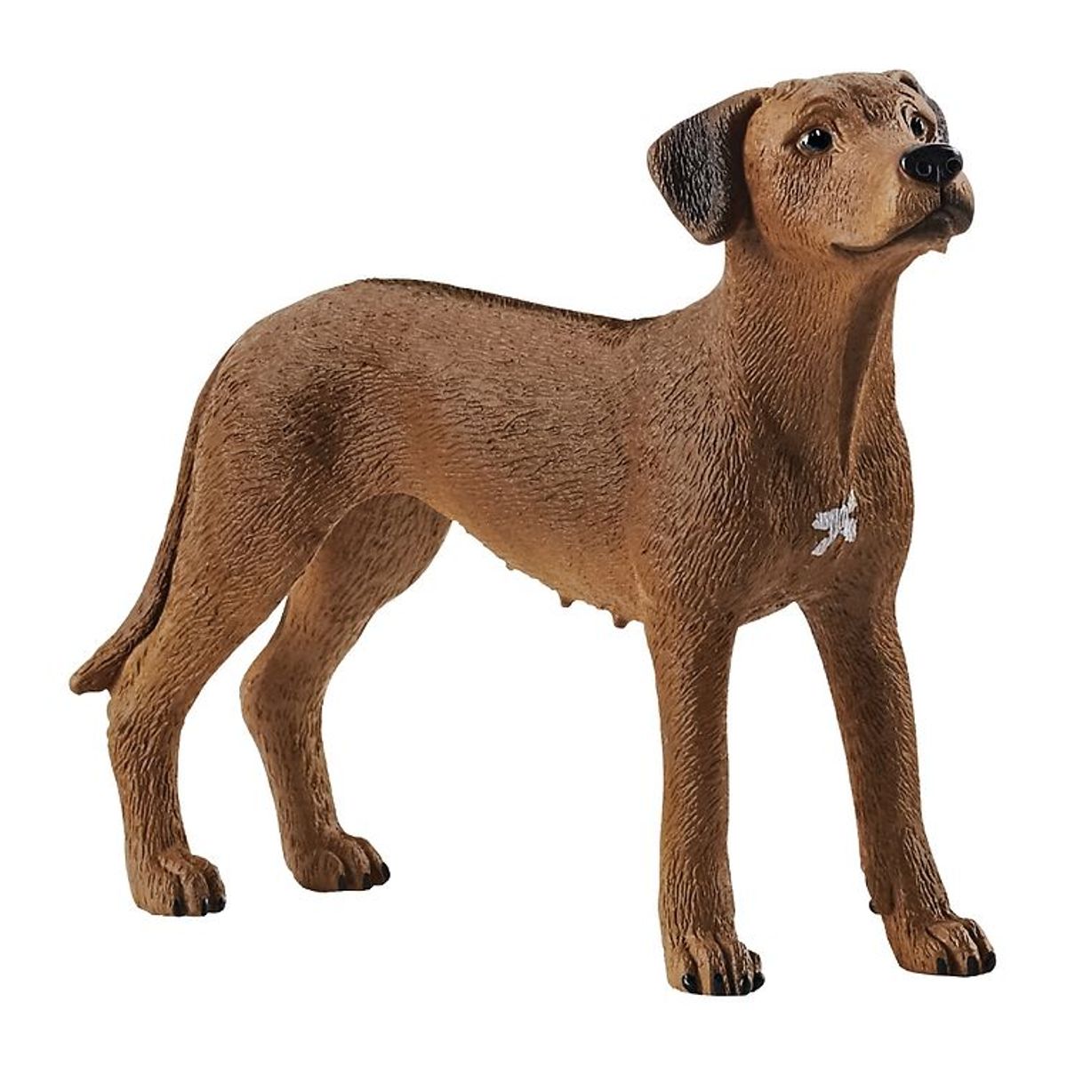 Schleich Dyr - H:6 cm - Rhodesian Ridgeback 13895