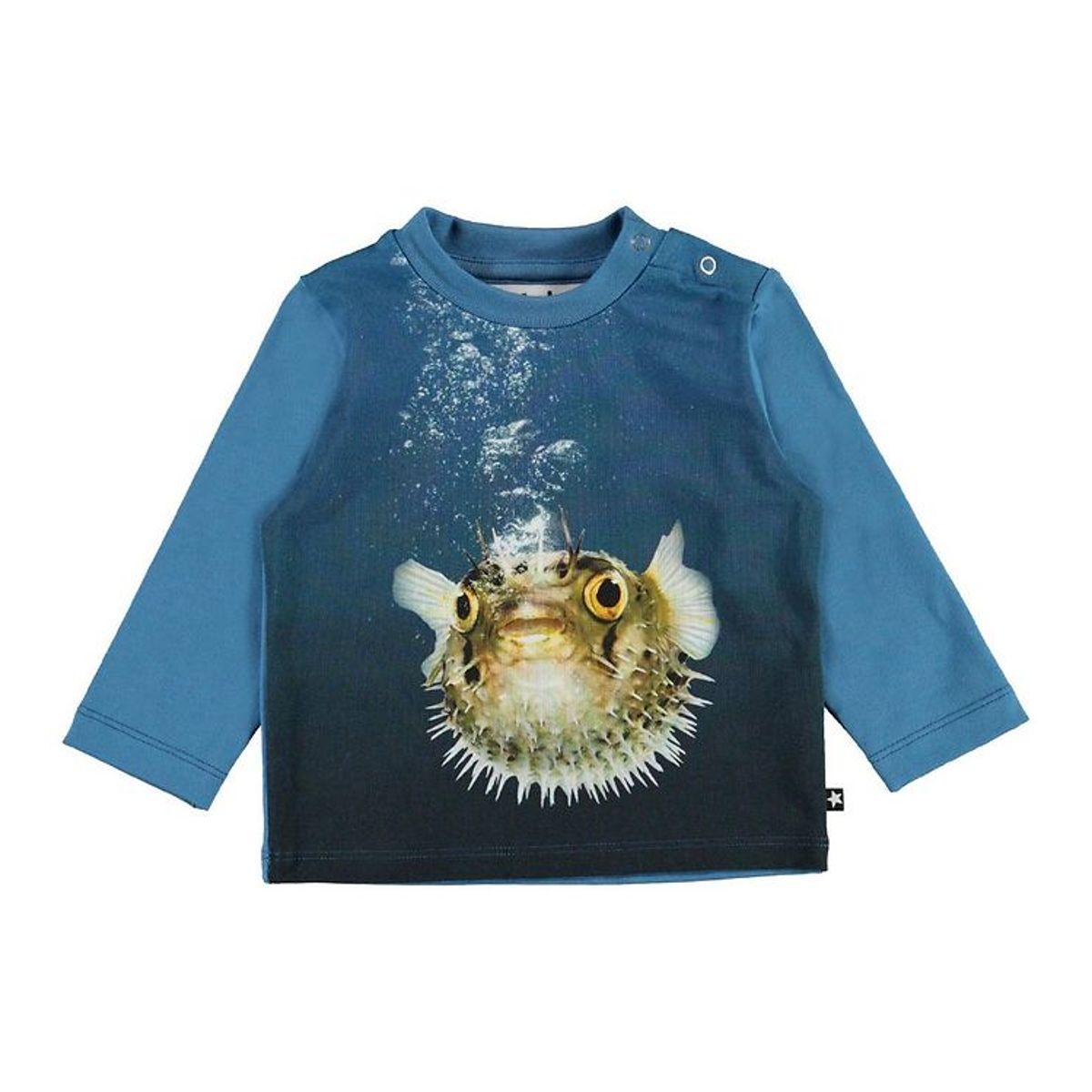 Molo Bluse - Enovan - Pufferfish