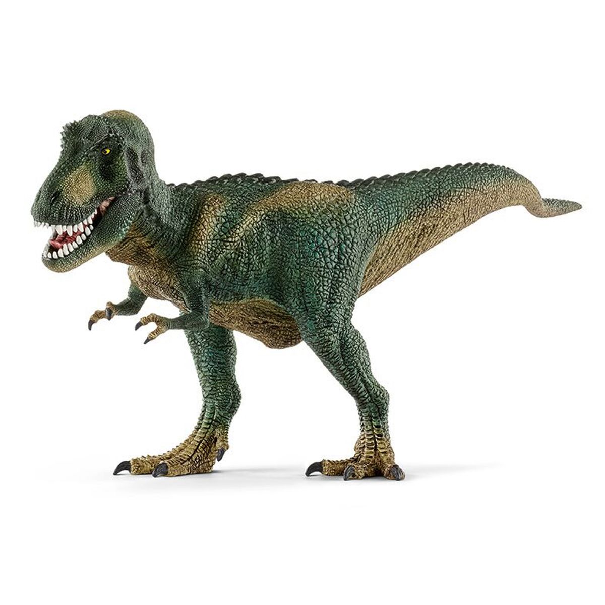 Tyrannosaurus rex (One size)