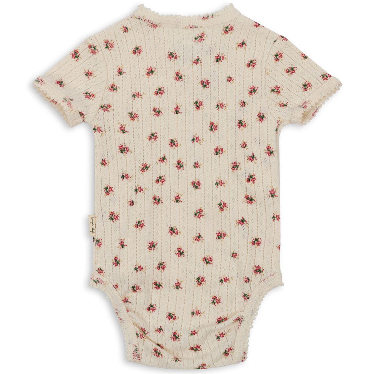 Organic Minnie body (0-1 mdr.)