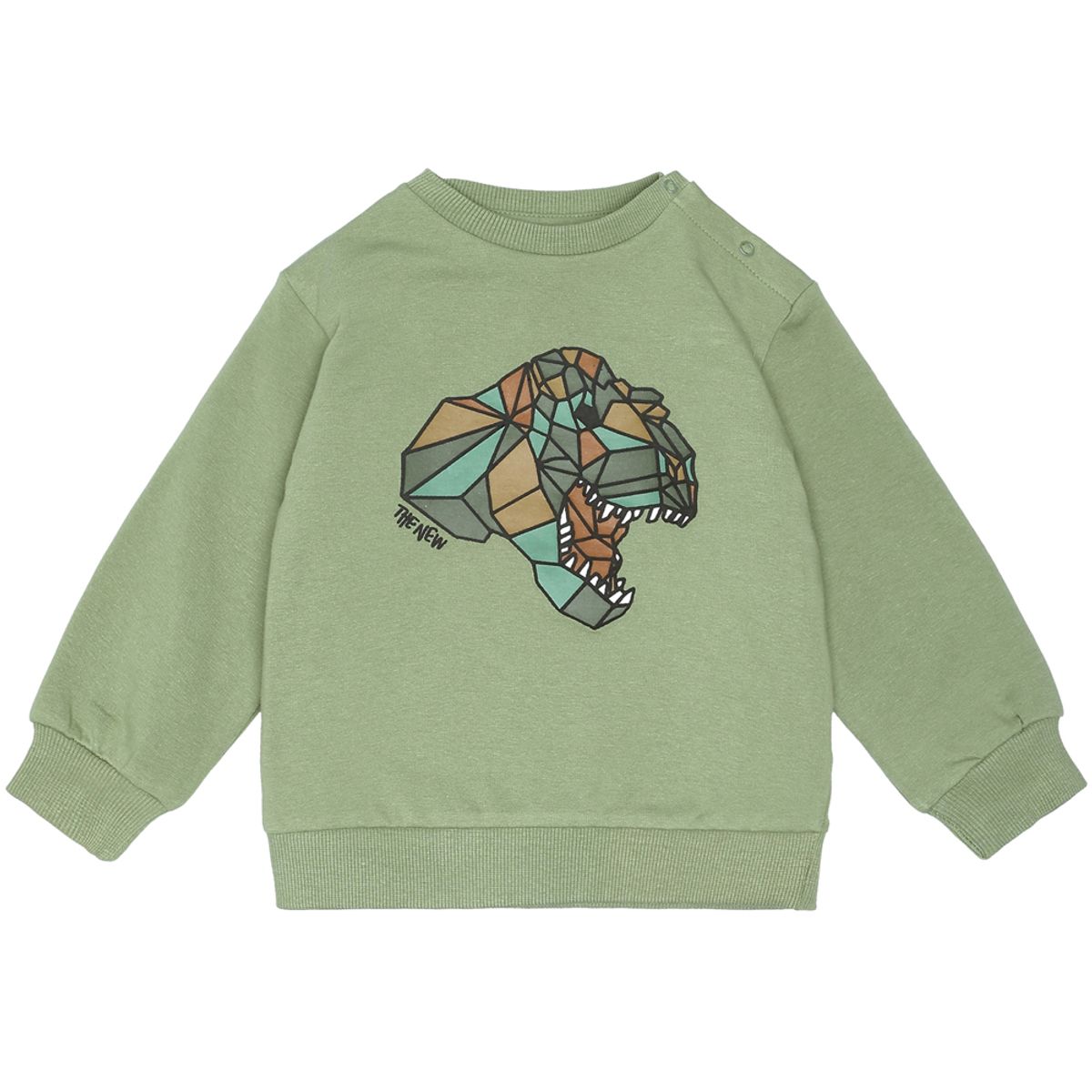 Organic TNSLuigi sweatshirt (2 år/92 cm)