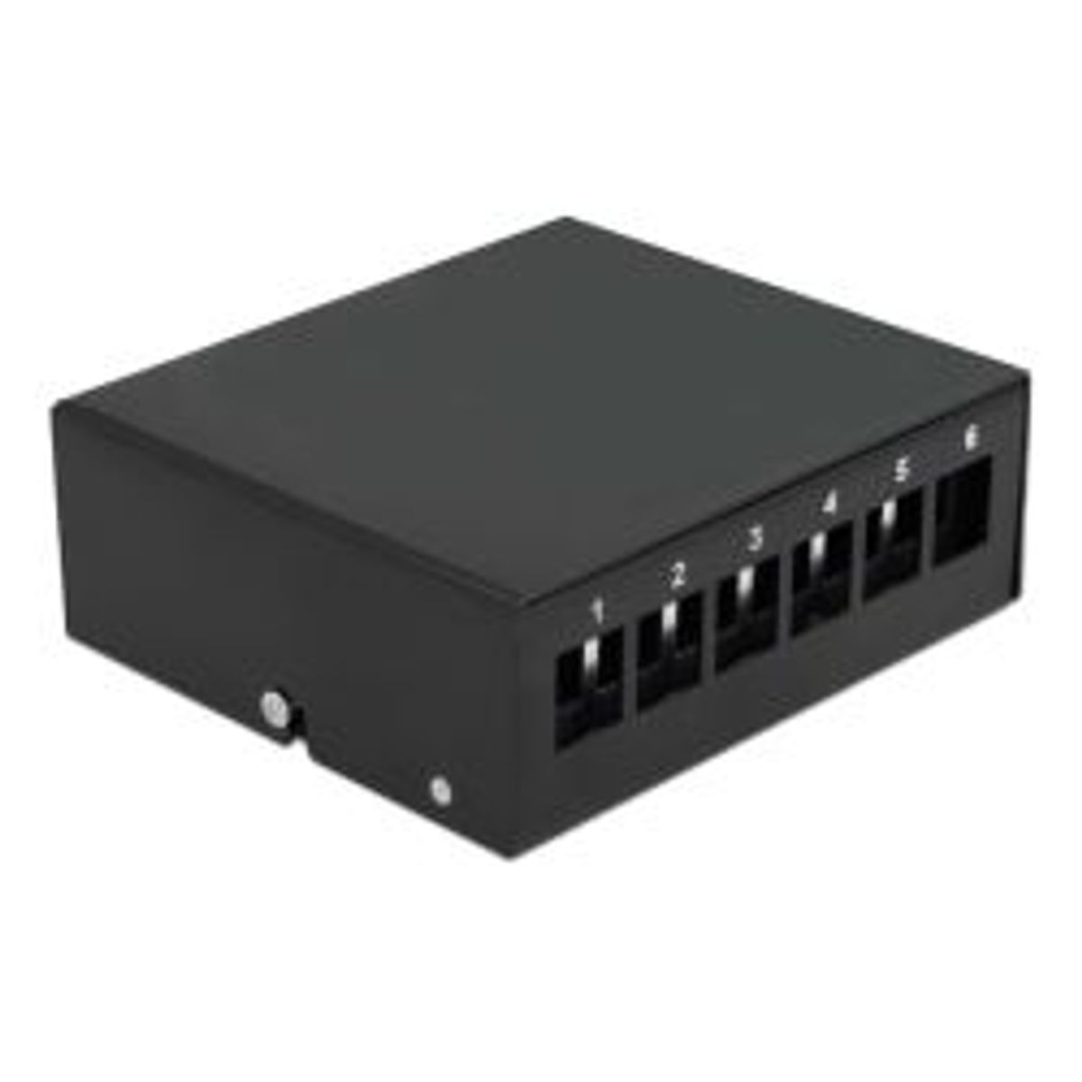 Delock Keystone Patch Panel 6 Port Black - Diverse