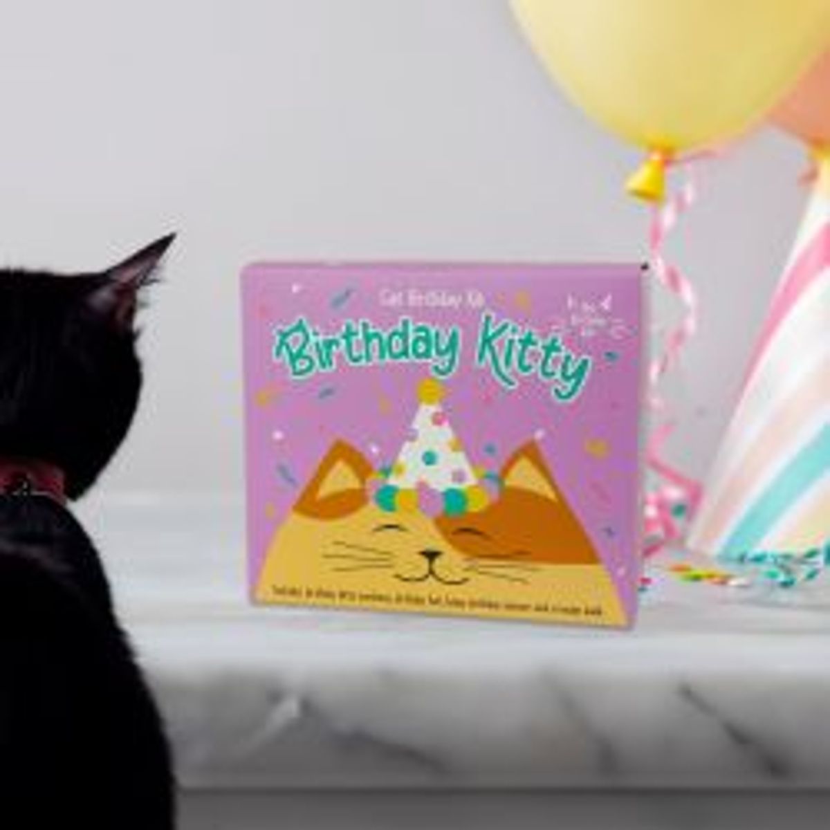 Gift Republic Birthday Kit Cat - Katteudstyr