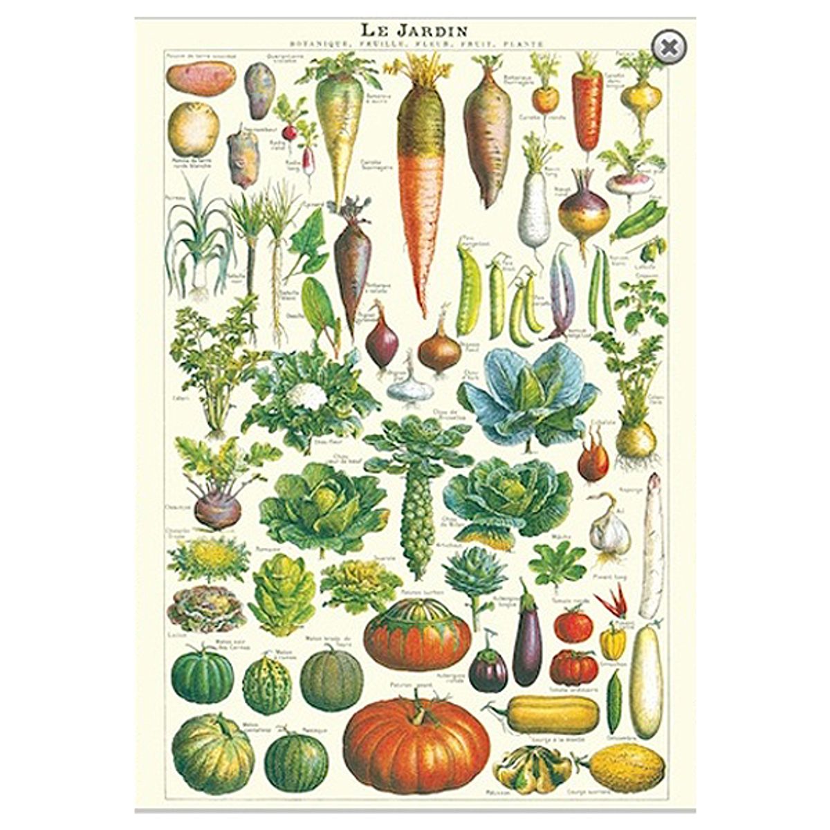 Cavallini - Plakat - Le Jardin 50x70cm