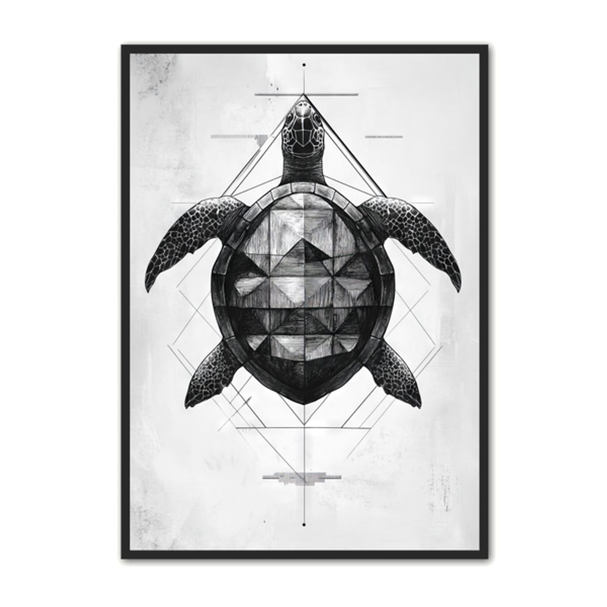 Skildpadde Plakat 5