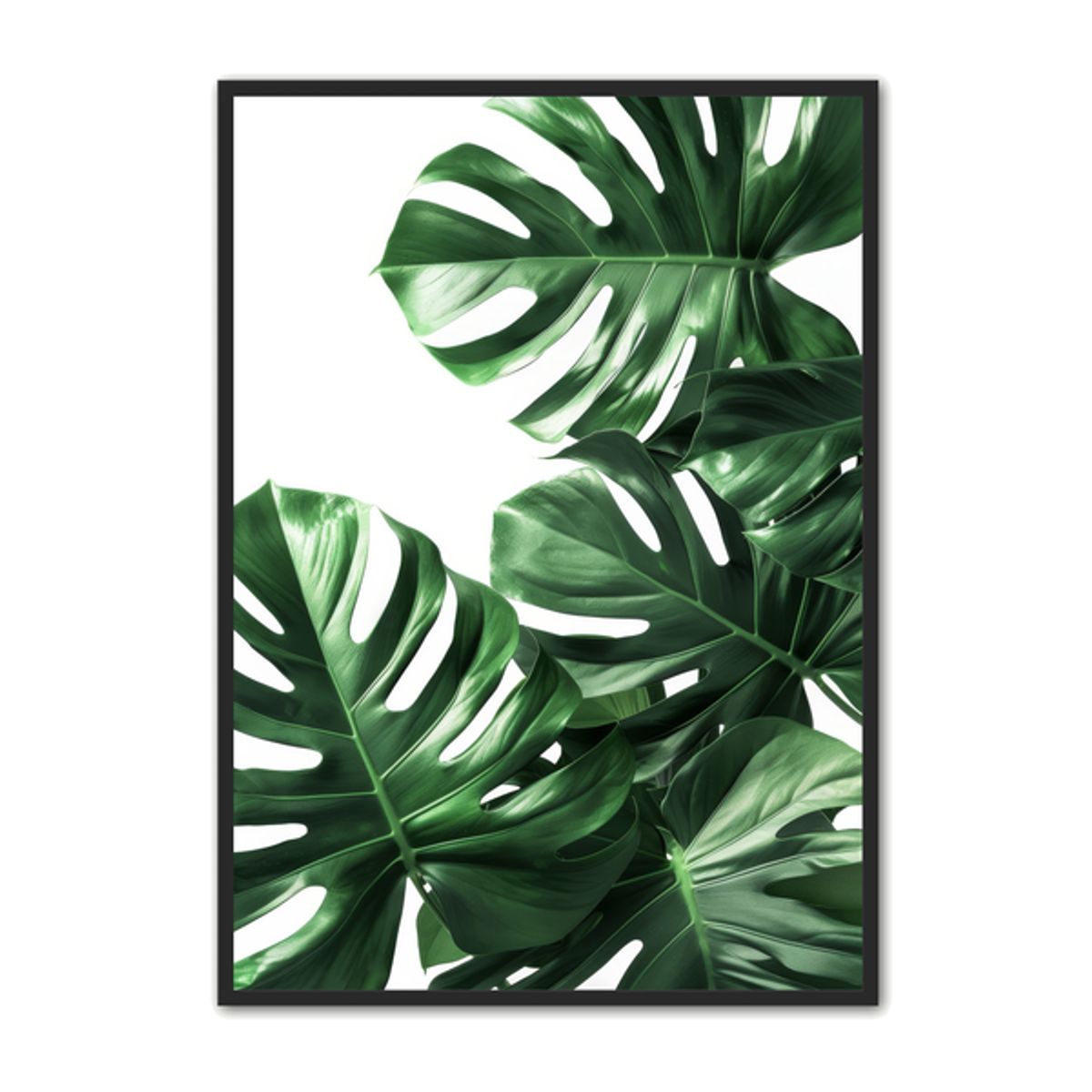 Plante Plakat 22