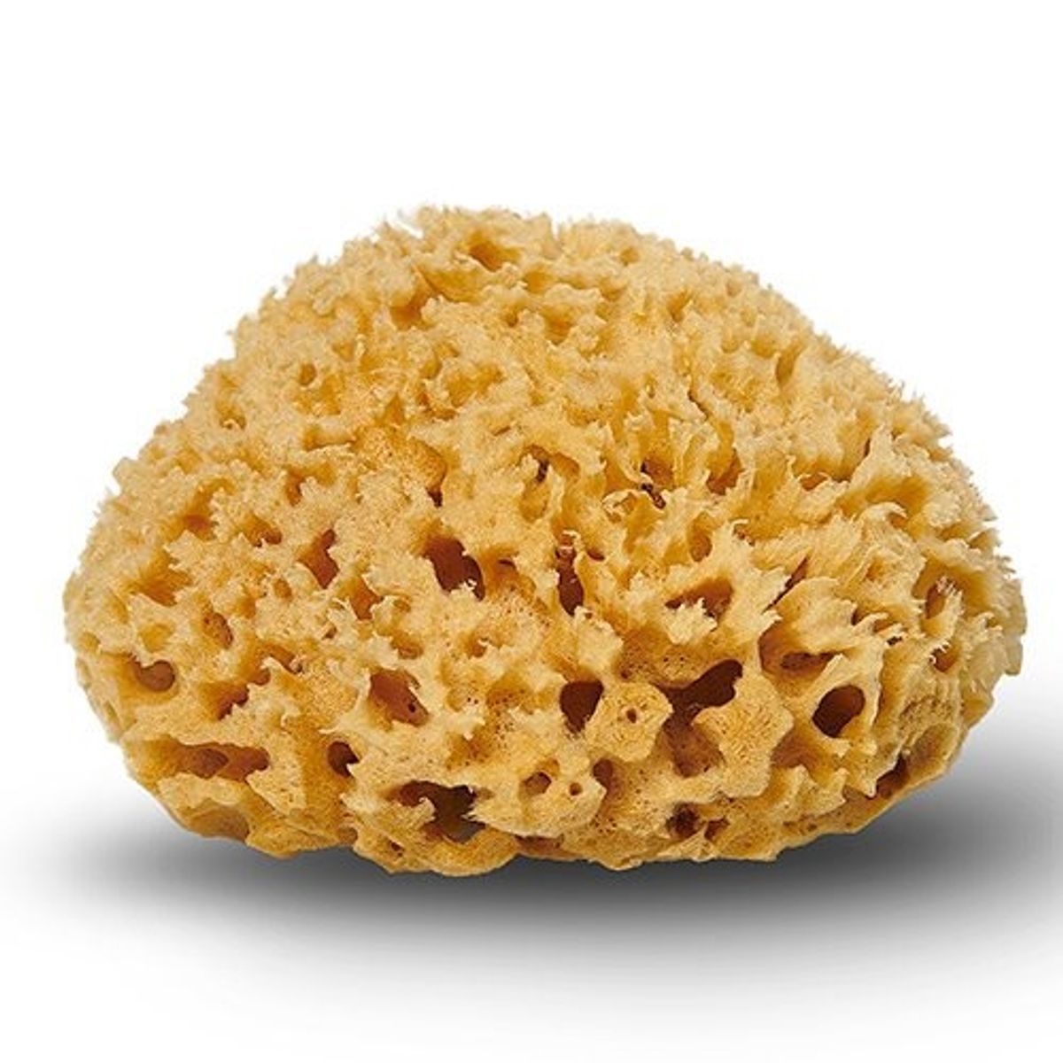 Cocoon Natursvamp Honeycomb 10-11 cm, 1 stk.