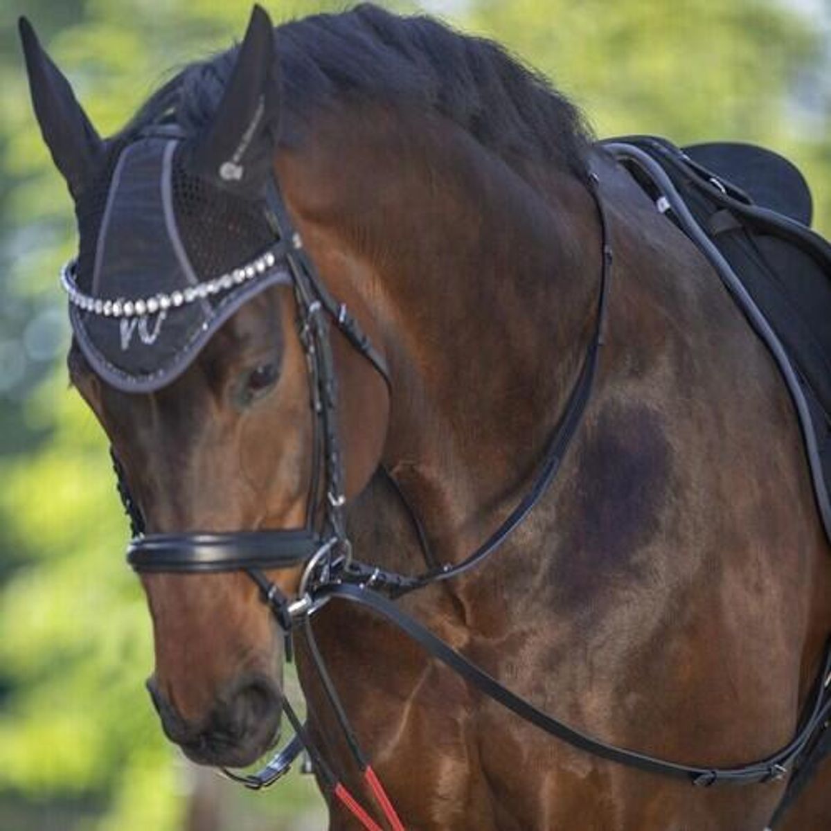 Waldhausen W-train indspændingstøjler - Pony