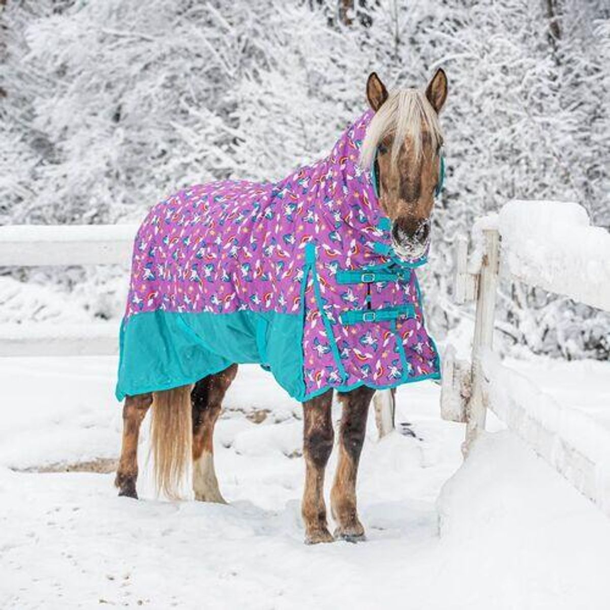 Coverme Unicorn pony dækken med hals - 150g - 125cm