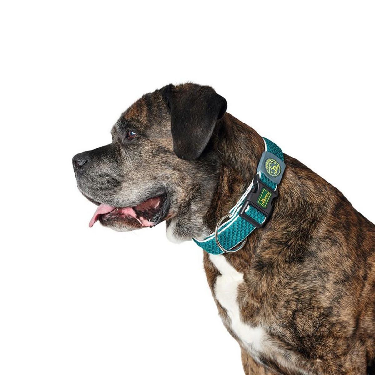 Hundehalsbånd Hunter Plus Gevind turquoise Turkisblå Størrelse XL (45-70 cm)