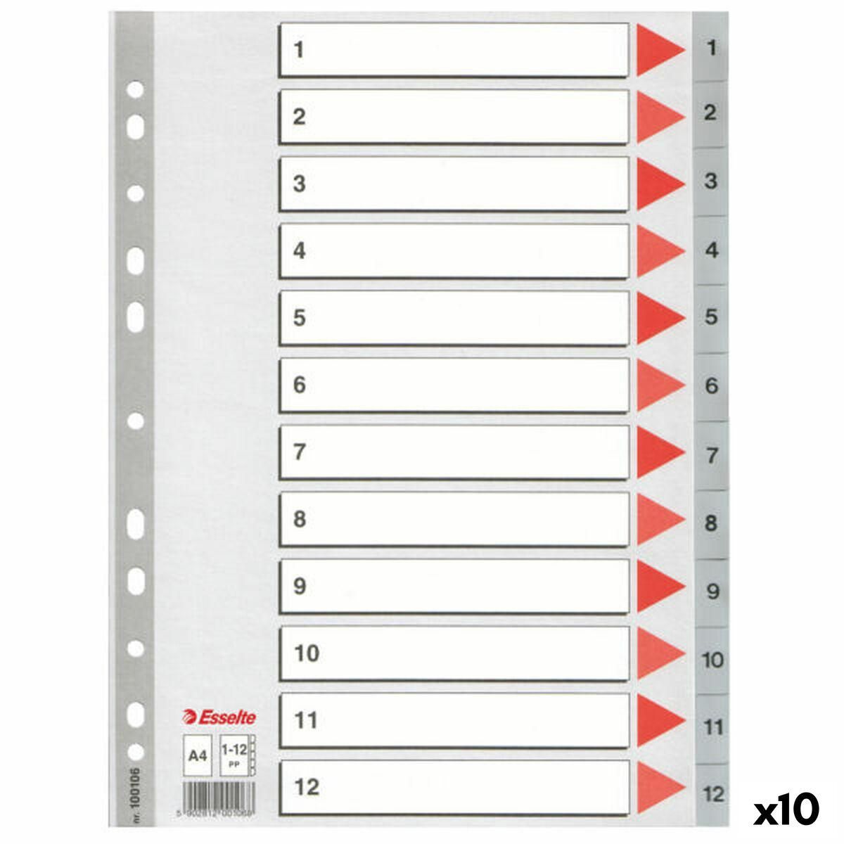 Faneblade Esselte nummereret Grå A4 12 Ark (10 enheder)