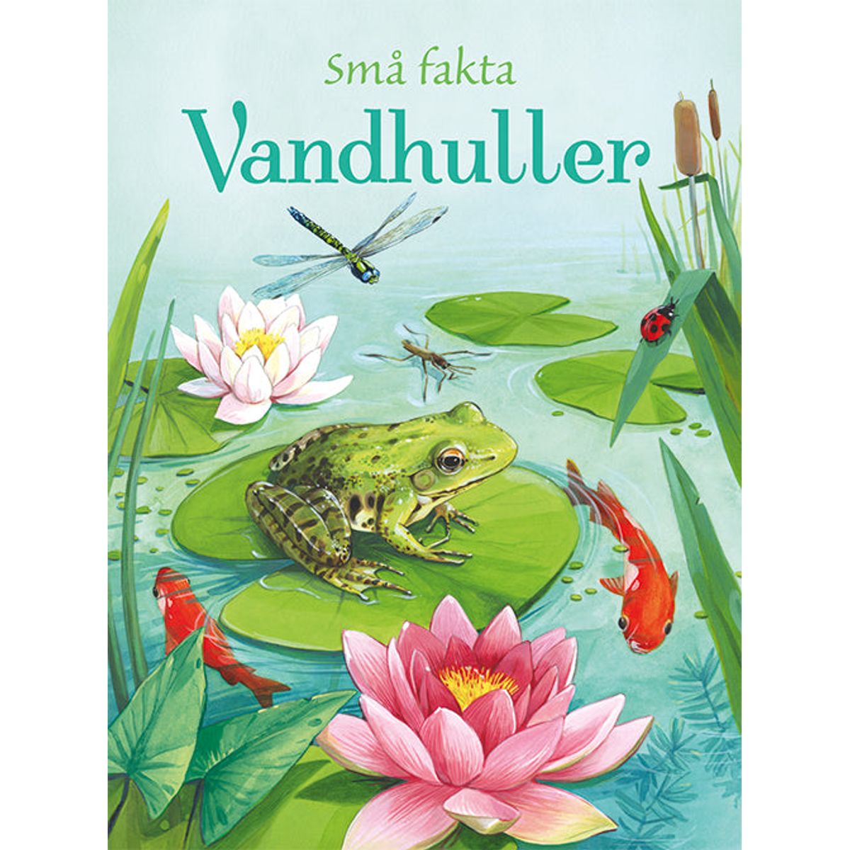 Små fakta: Vandhuller