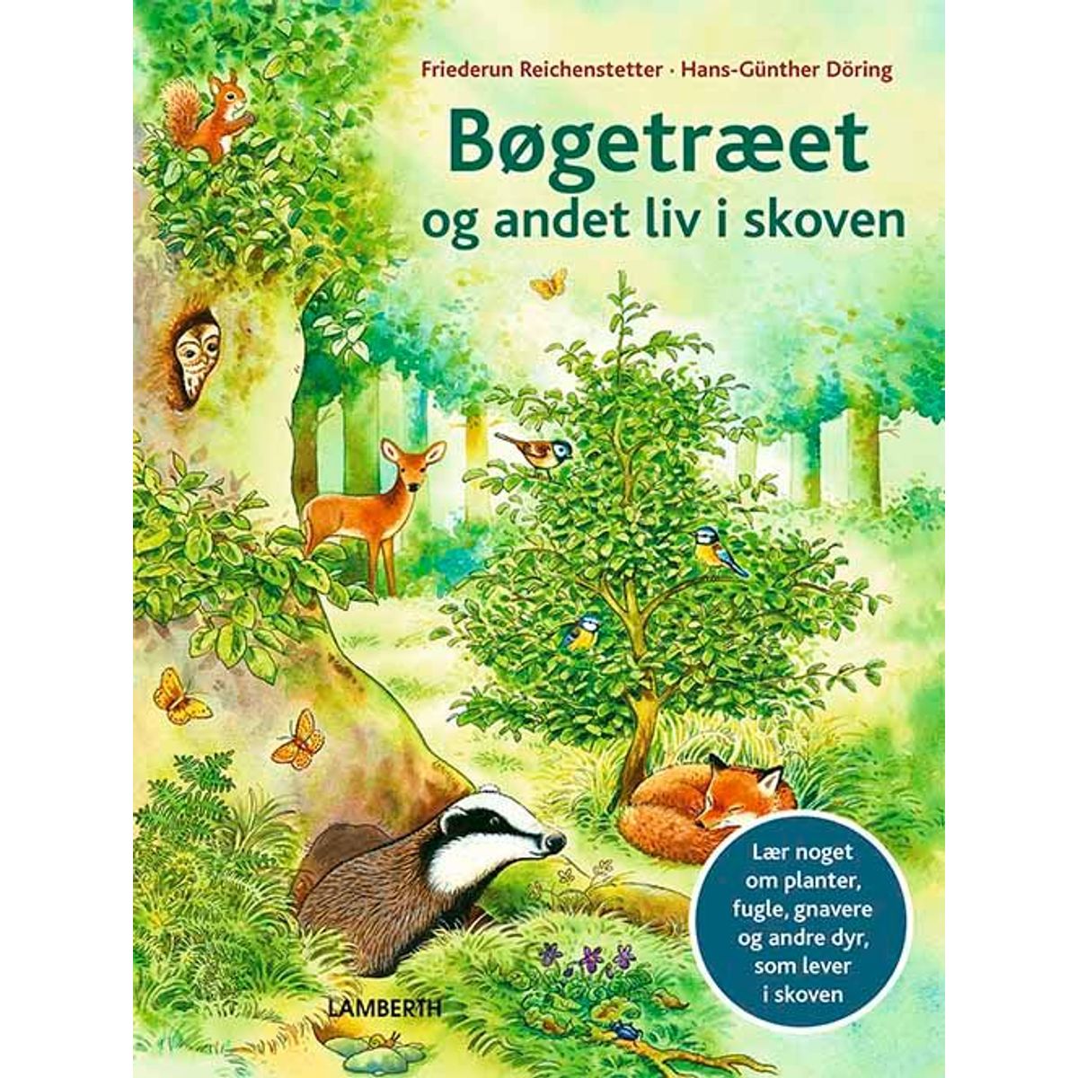 Bøgetræet og andet liv i skoven