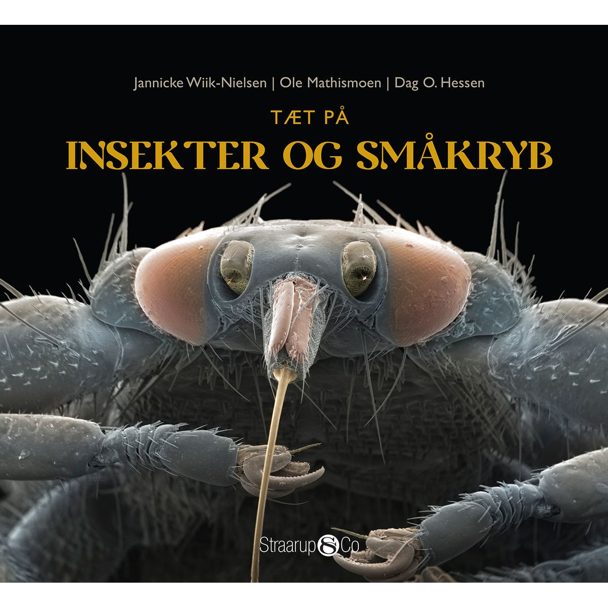 Tæt på insekter og småkryb