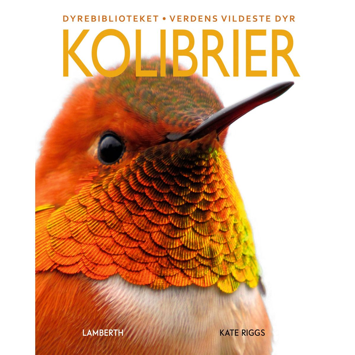 Kolibrier