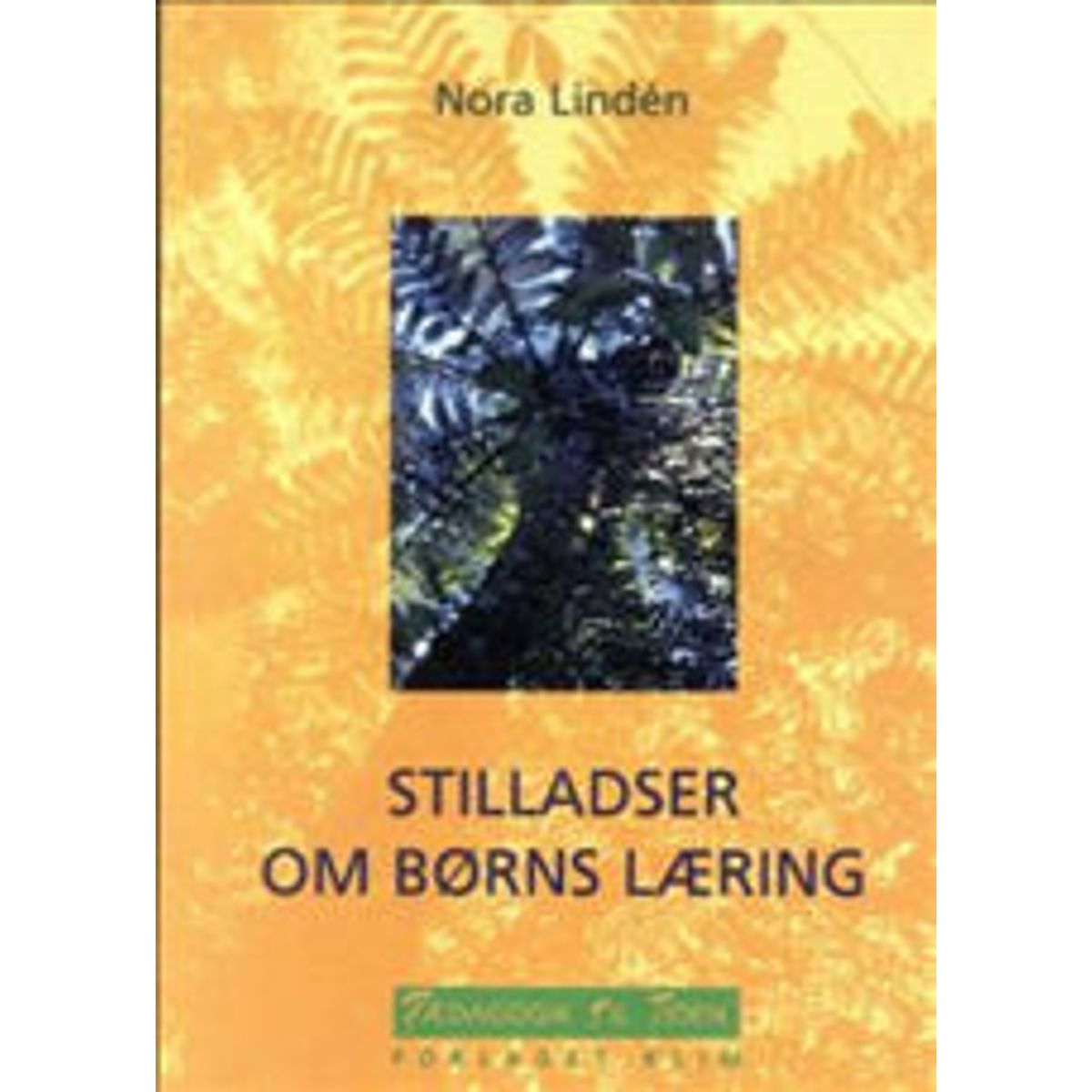 Stilladser om børns læring