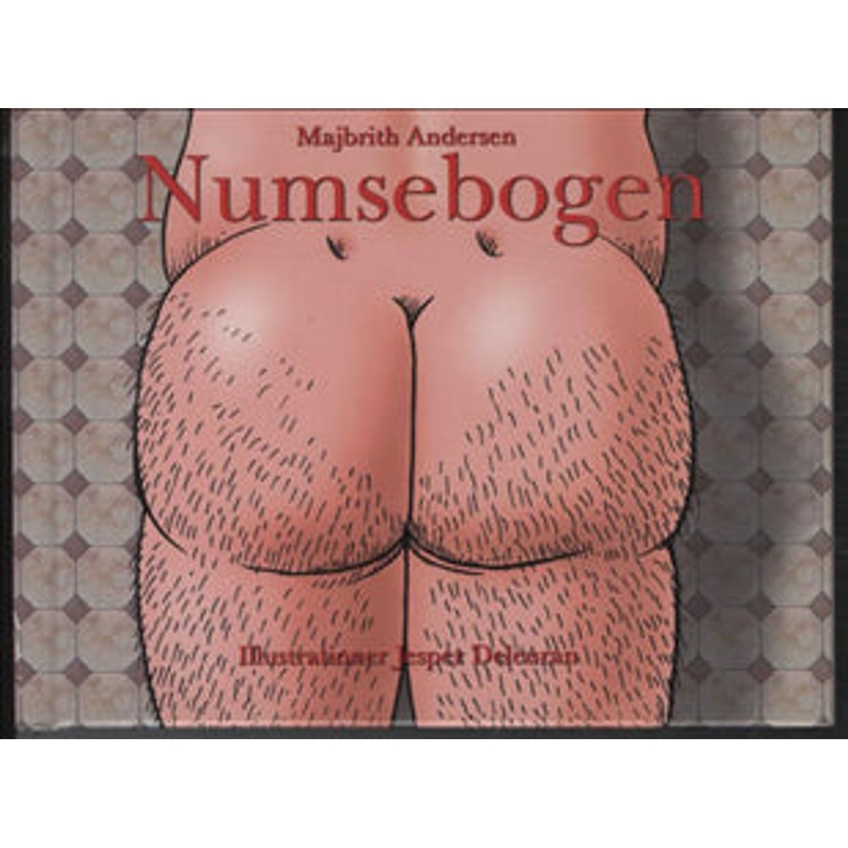 Numsebogen