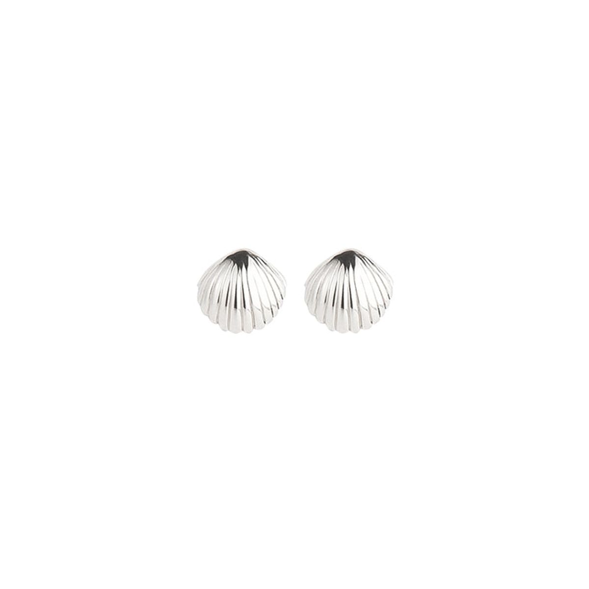 Jeberg Jewellery - Seashell Callop ørestikker 50820