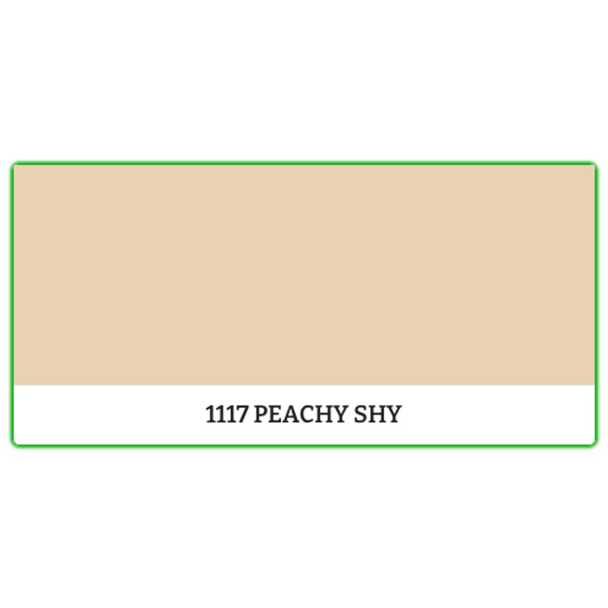 1117 - Peachy Sky - 9 L - Maling