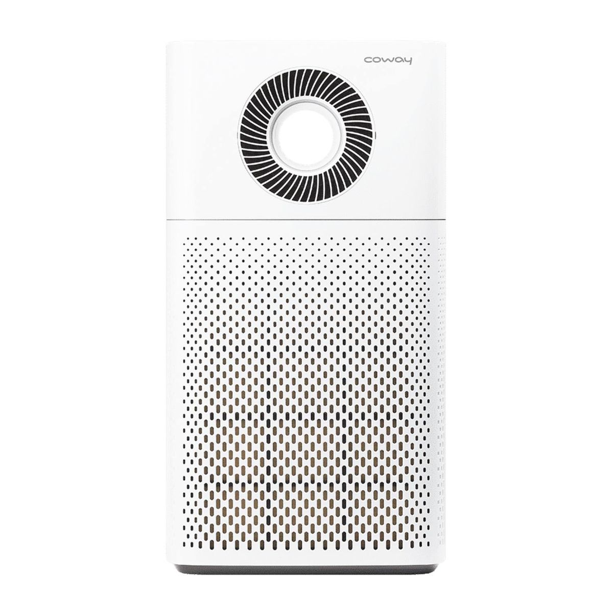 Luftrenser med HEPA filter 0-100 m2 - Air purifier fra Coway