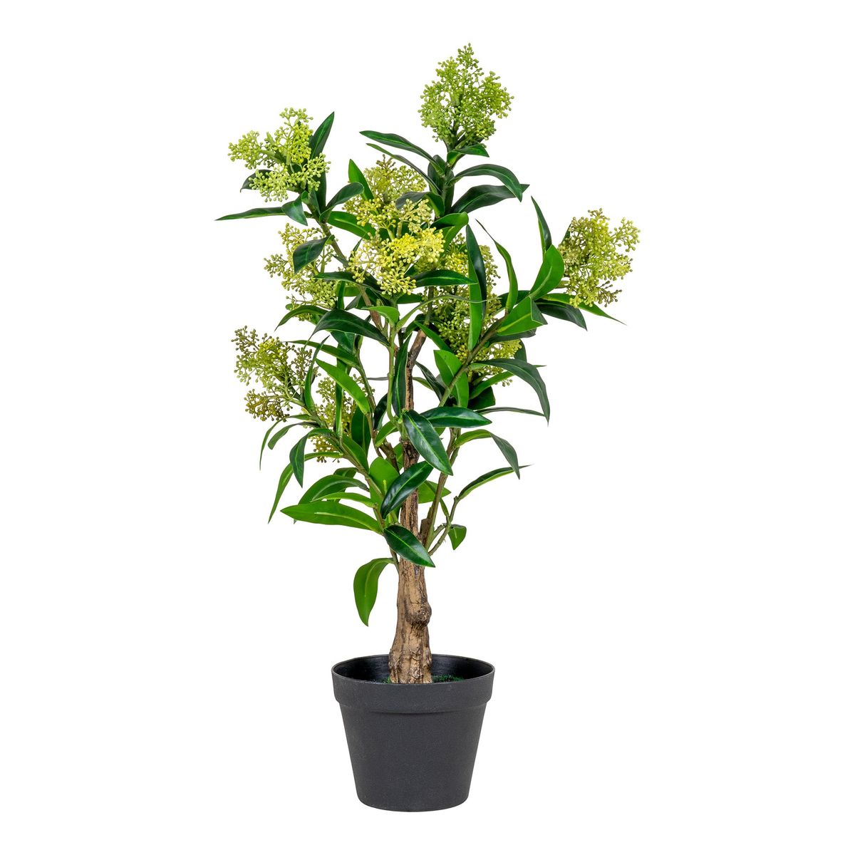 Skimmia Træ - Kunstig Plante, Grøn H:75 Cm