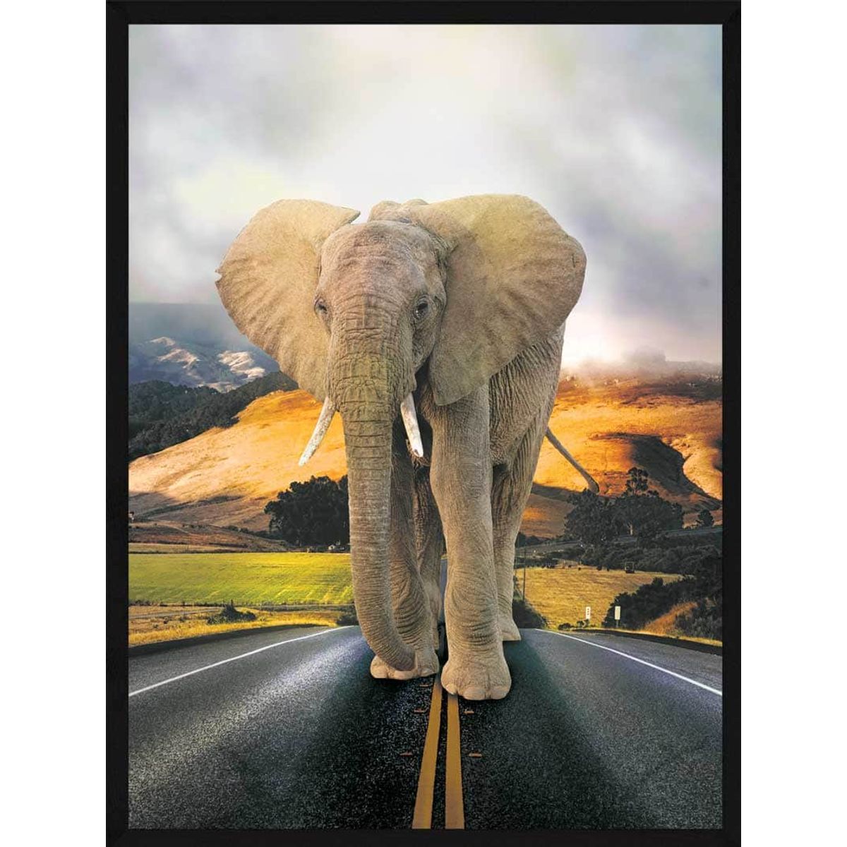 Elefant på vejen - Plakat