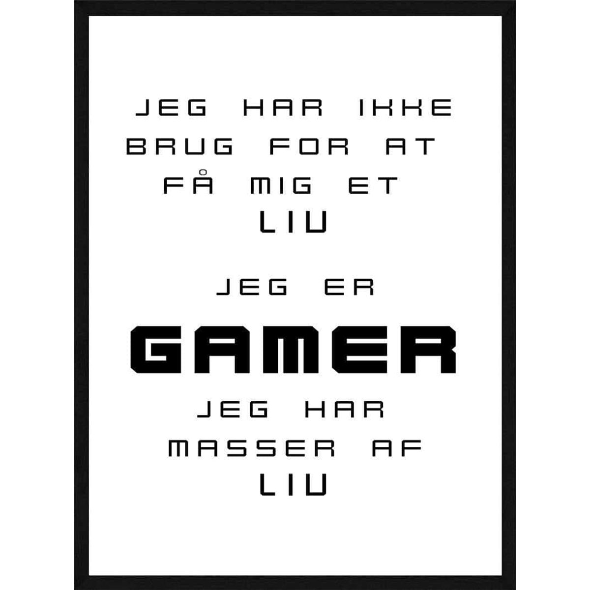 Jeg er GAMER - Gamer plakat