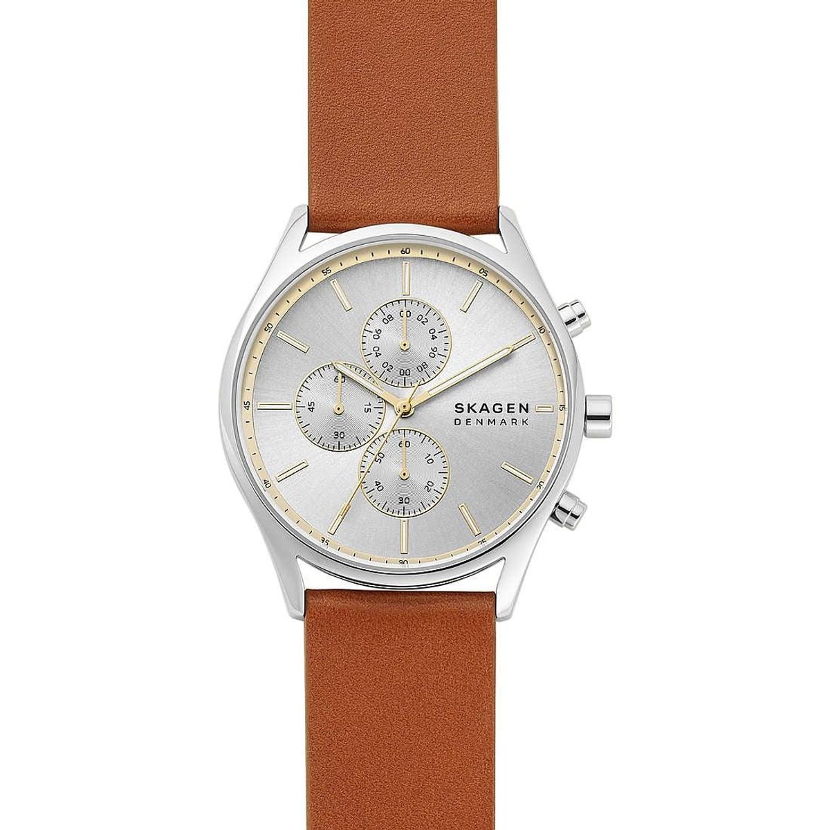 SKAGEN DENMARK UR - SKW6607