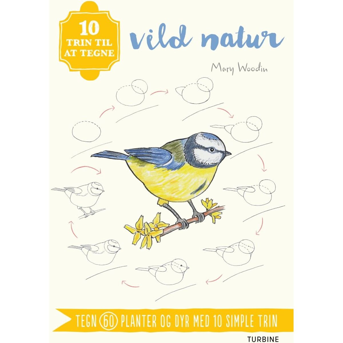 10 Trin Til At Tegne Vild Natur - Mary Woodin - Bog