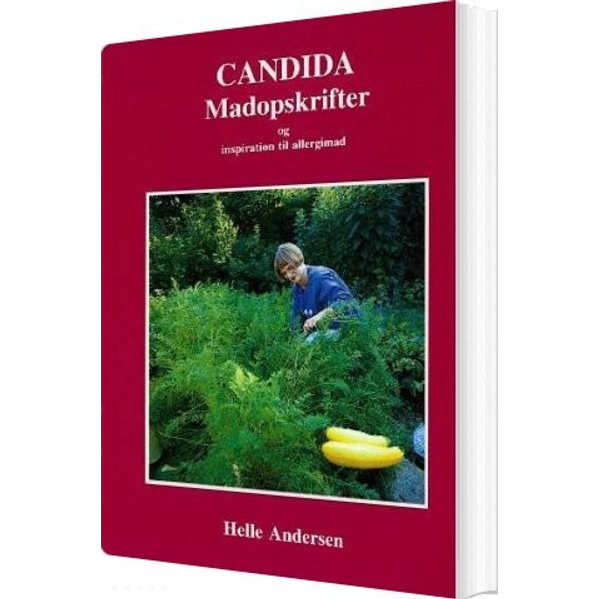 Candida Madopskrifter Og Inspiration Til Allergimad - Helle Andersen - Bog