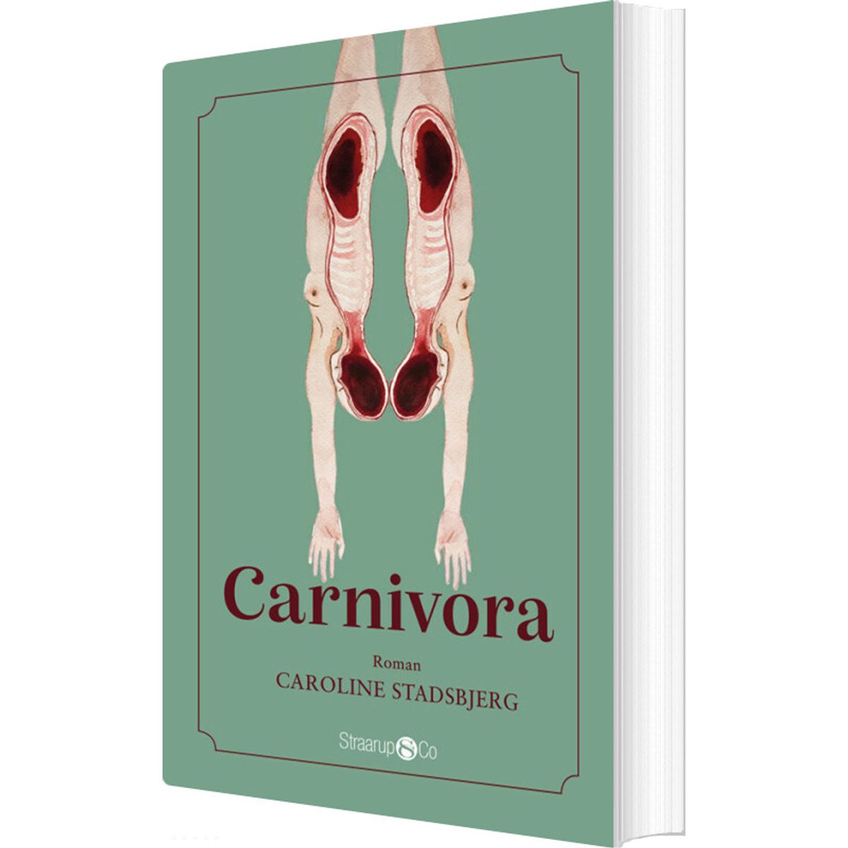 Carnivora - Caroline Stadsbjerg - Bog