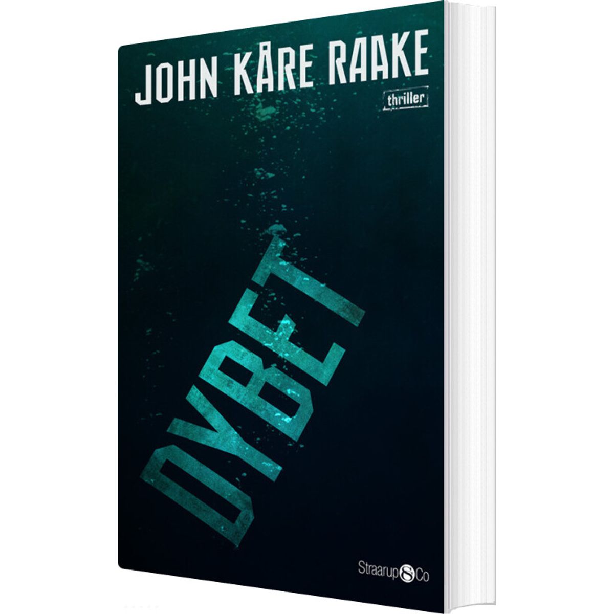 Dybet - John Kare Raake - Bog