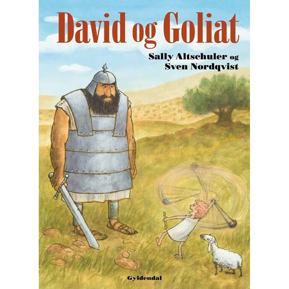 David Og Goliat - Sally Altschuler - Bog