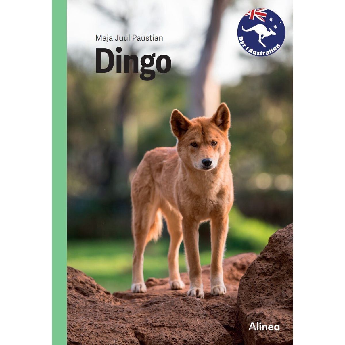 Dingo, Grøn Fagklub - Maja Juul Paustian - Bog