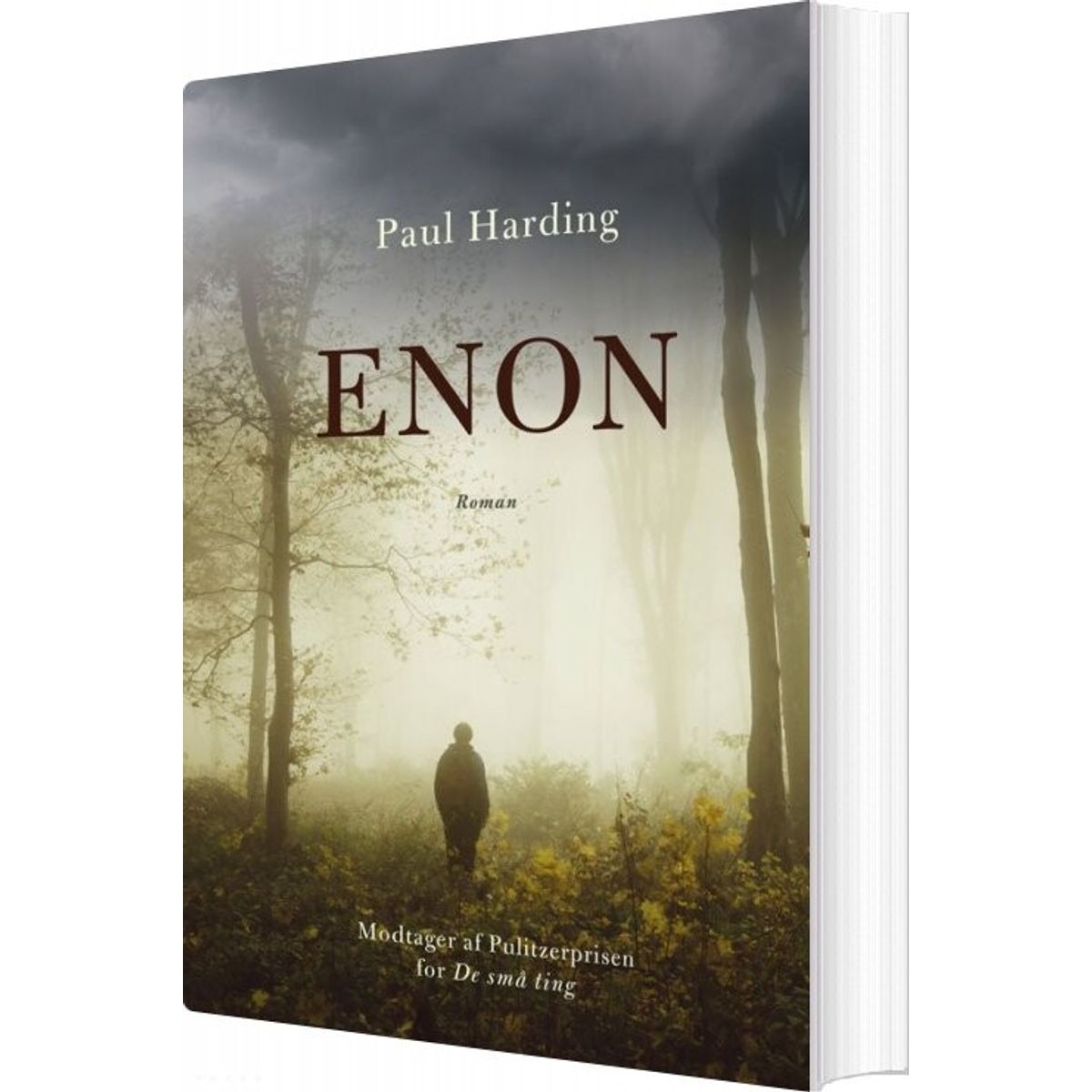 Enon - Paul Harding - Bog