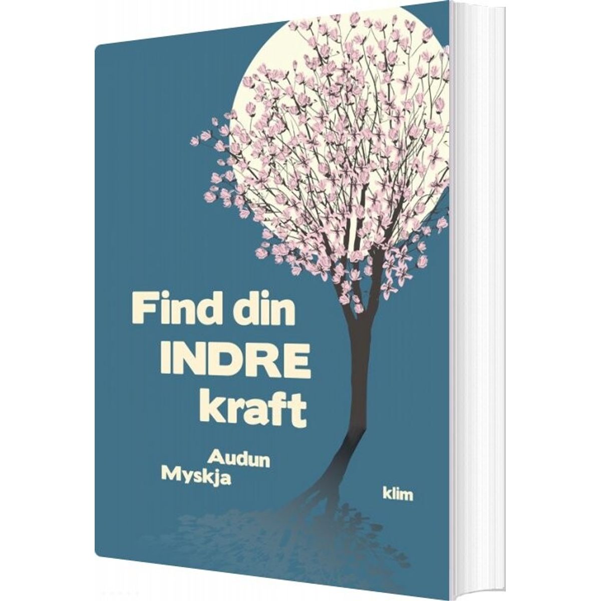 Find Din Indre Kraft - Audun Myskja - Bog