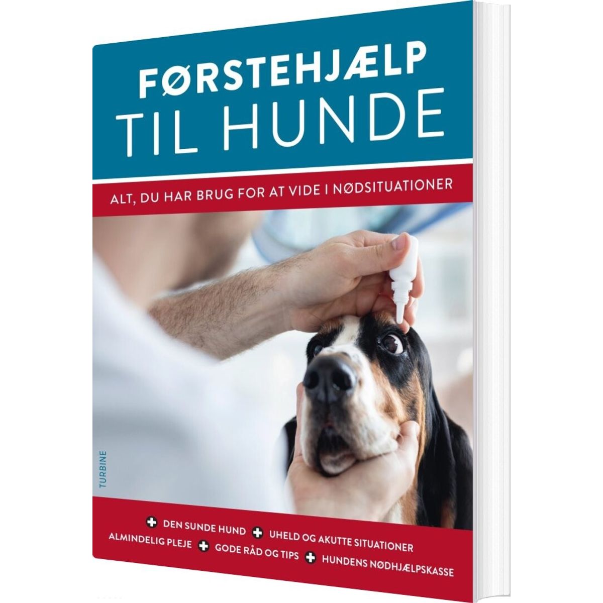 Førstehjælp Til Hunde - Jennifer Parker - Bog