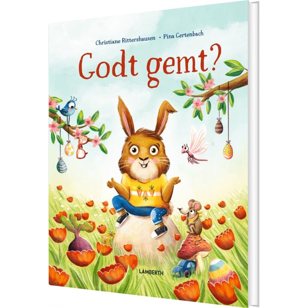 Godt Gemt? - Christiane Ritterhausen - Bog