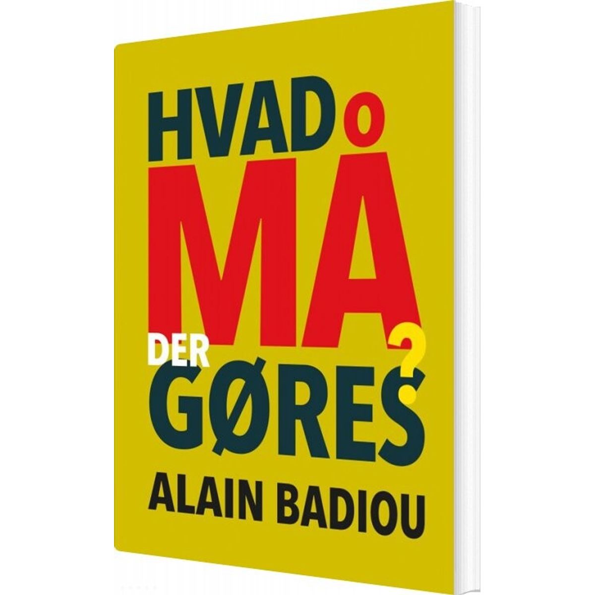 Hvad Må Der Gøres? - Alain Badiou - Bog