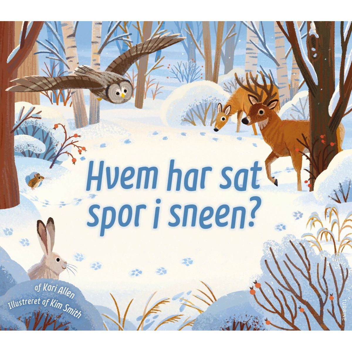 Hvem Har Sat Spor I Sneen? - Kari Allen - Bog