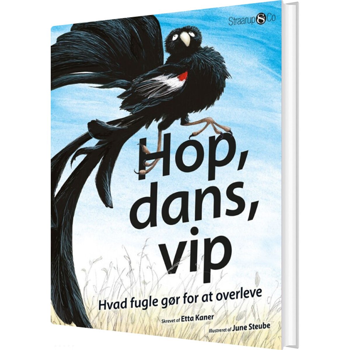 Hop, Dans, Vip - Etta Kaner - Bog