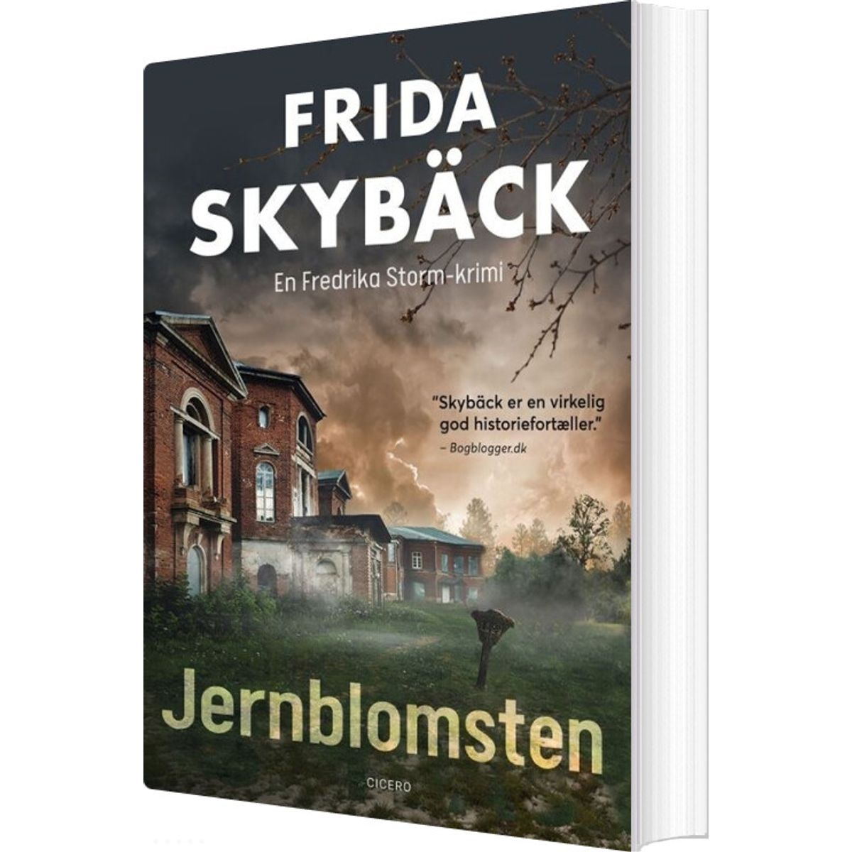 Jernblomsten - Frida Skybäck - Bog