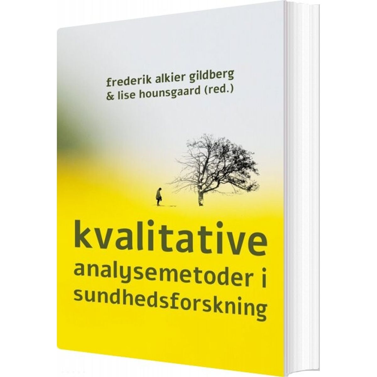 Kvalitative Analysemetoder I Sundhedsforskning - Lise Hounsgaard - Bog