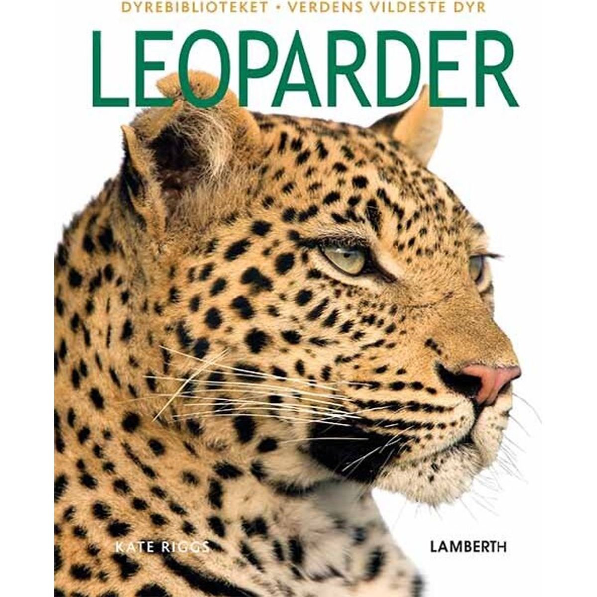 Leoparder - Kate Riggs - Bog