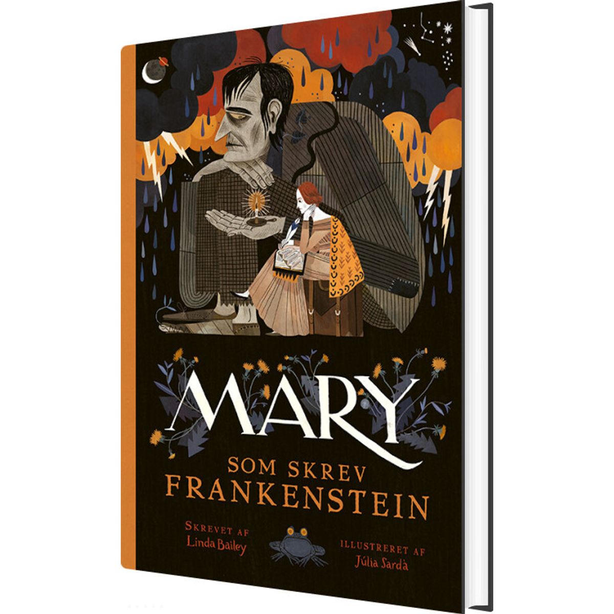 Mary - Som Skrev Frankenstein - Linda Bailey - Bog