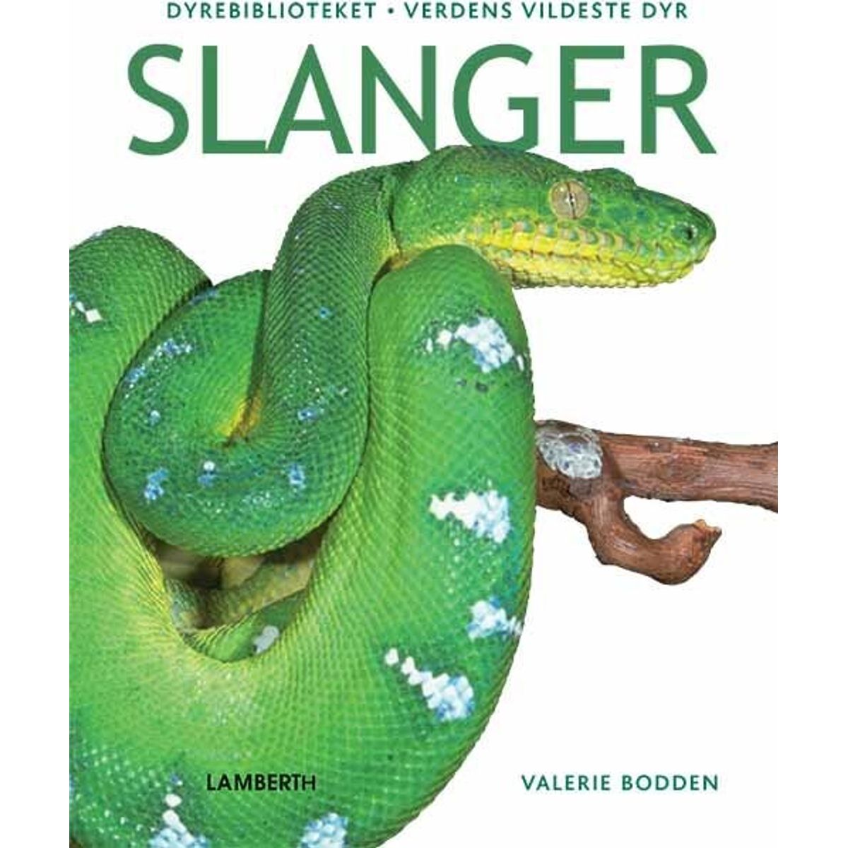 Slanger - Valerie Bodden - Bog