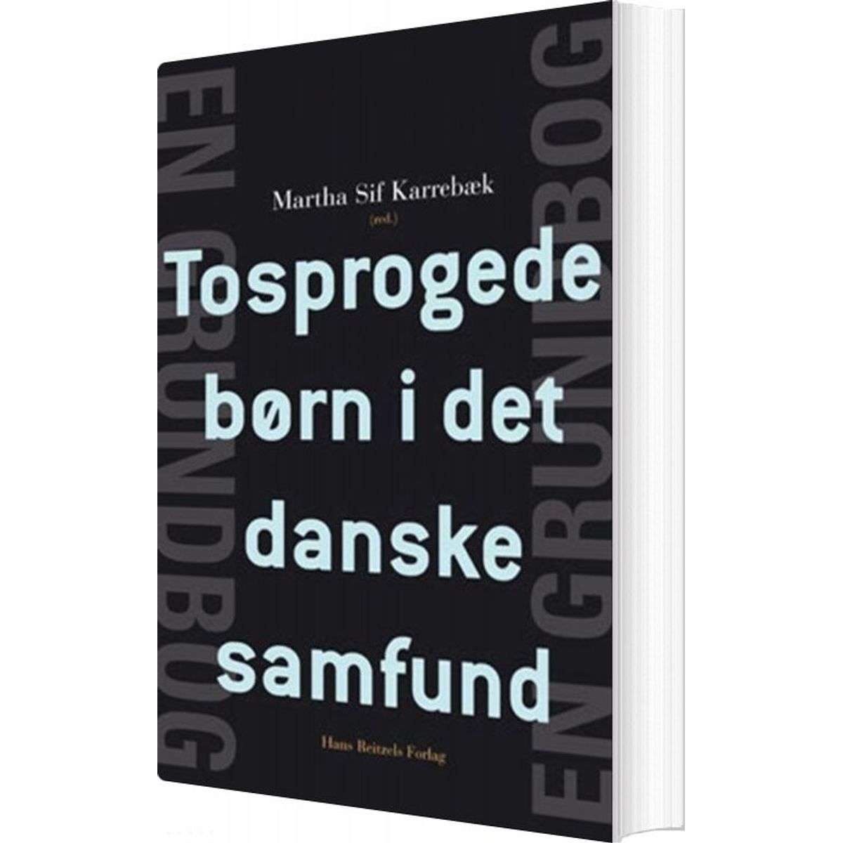 Tosprogede Børn I Det Danske Samfund - Marianne Skytte - Bog