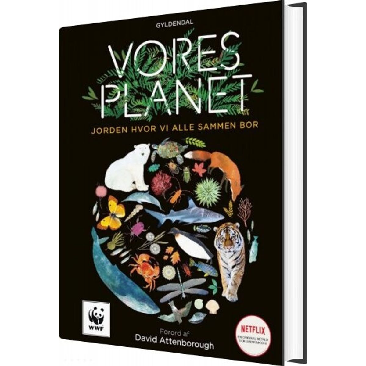 Vores Planet - Matt Whyman - Bog