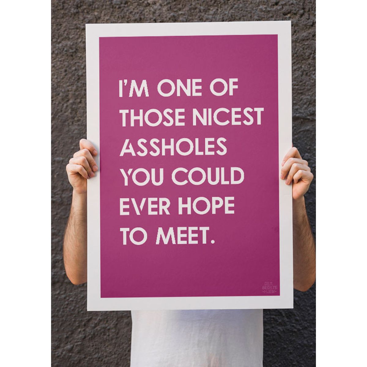 Nice asshole-plakat (pink) - 50 x 70 cm - Kr. 279,-