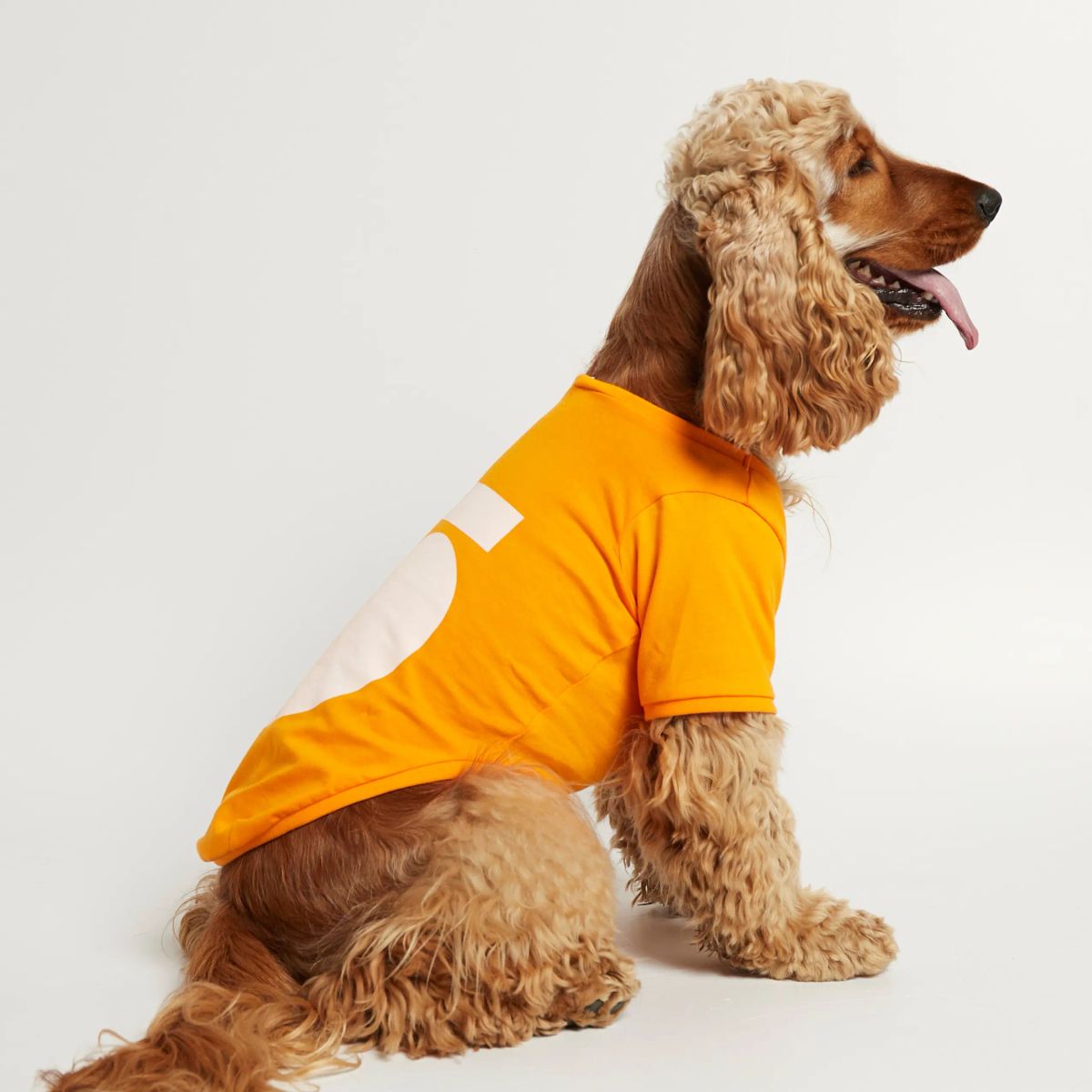 Imi T-shirt // Hundetrøje med ærmer i økologisk bomuld (orange) - M